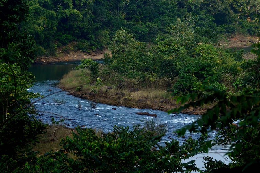 peacifull watter falls of hidden tourist place of maradumilli